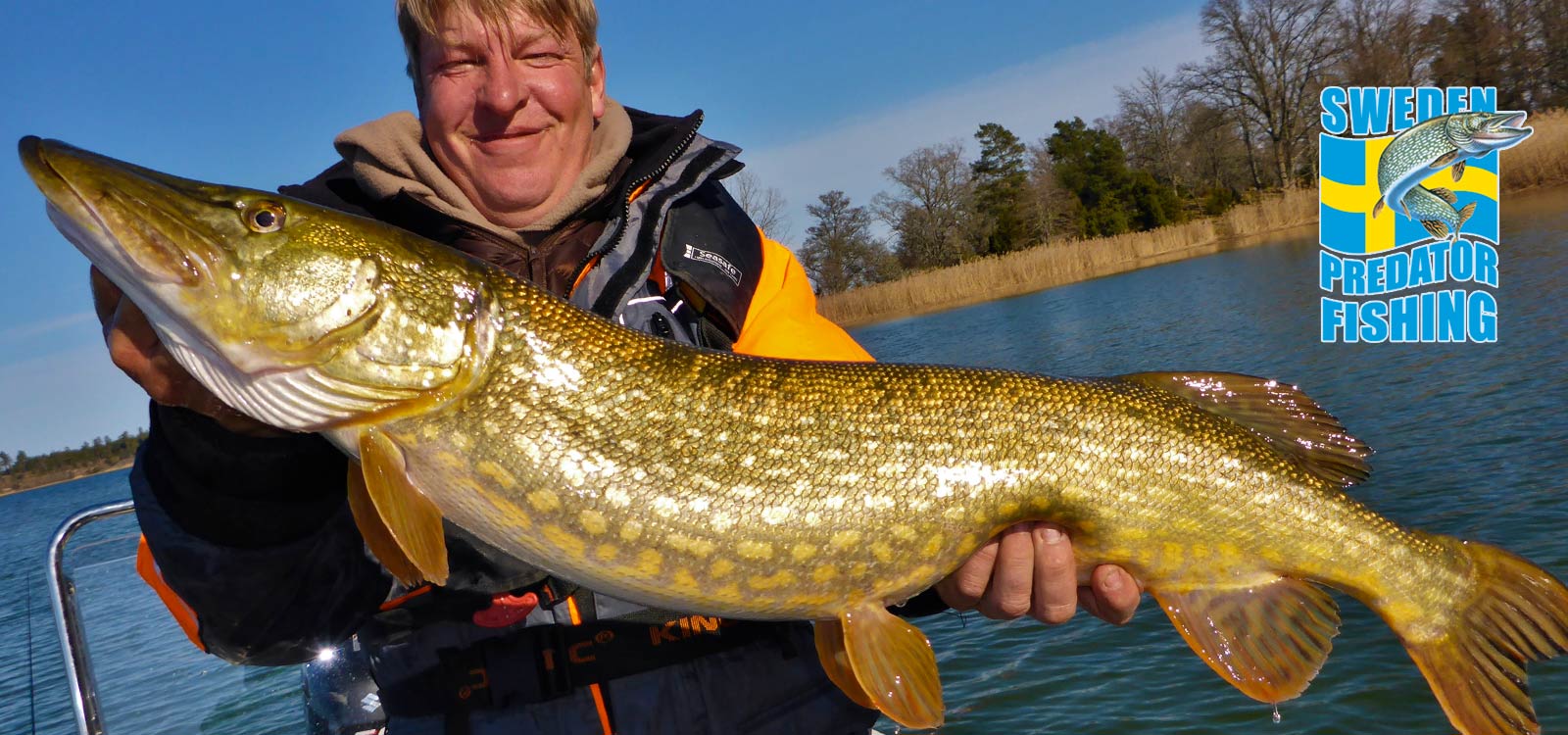 peche suede sweden predator fishing 01