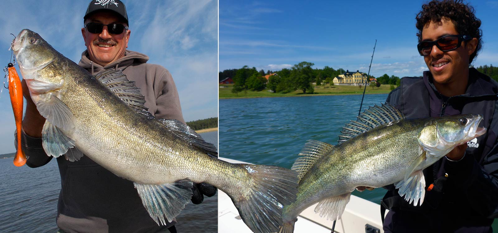 peche suede sweden predator fishing 10